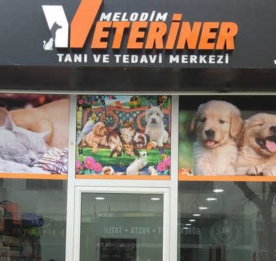 Eskişehir Melodim Veteriner Kliniği