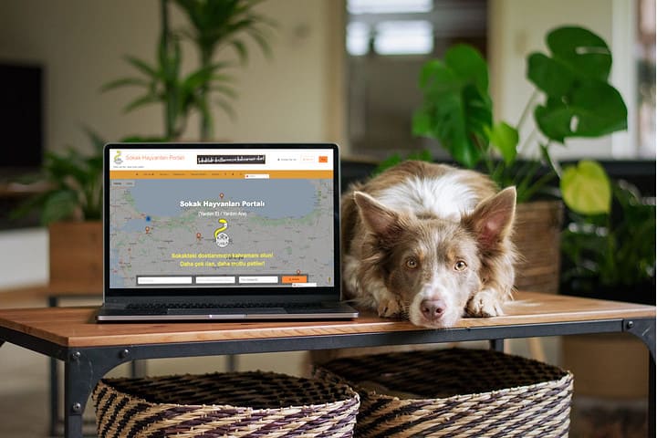 Dog lies next to laptop with kirikkuyruk.com on the screen