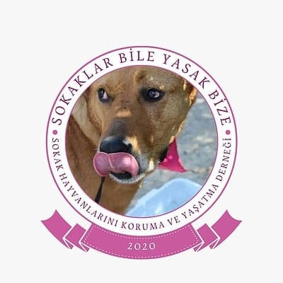 Sokaklar bile Yasak bize