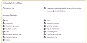 Kedi ve köpek sahiplenme sitesinden sevimli yavru kedi ve köpeklerin sağlıklı, aşılı ve eğitilmiş özelliklere sahip olduğu detaylı bilgiler içeren görsel.