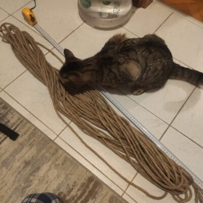 Kalemli kedi, ip, metre ve su şişesi ile evde ölçüm yaparken; kedi, doğa ve evcil hayvan temalı SEO dostu görsel.