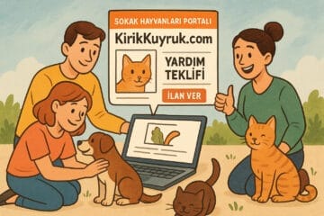 Sokak Hayvanları için ne yapabilirim?