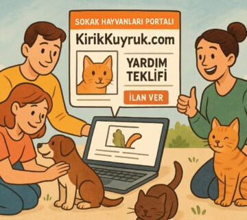 Sokak Hayvanları için ne yapabilirim?