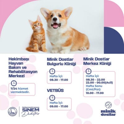 Kedli ve köpek klinikleri, hayvan bakım ve rehabilitasyon merkezleri, sokak hayvanları, veteriner hizmetleri, Üsküdar Belediyesi sokak hayvanları, pet klinikleri, acil veteriner hizmetleri.