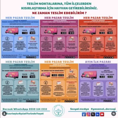 Küçük karides, deniz ürünleri ve restoran menüleri, taze deniz mahsulleri, lezzetli karides tarifleri, sağlıklı beslenme, deniz ürünleri sevgisi, karides sağlamanın püf noktaları, karidesli yemekler, sağlıklı protein kaynakları, deniz mahsulleri tarifleri, lezzetli ve pratik yemekler, karides tarifleri, deniz ürünleri ihtiyaçları, taze karides alımı, deniz ürünleri evi için.