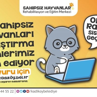 Sahipsiz hayvanlar kısırlaştırma işlemleri online randevu sistemiyle devam ediyor, rehabilitasyon ve eğitim merkezi, Kadırkay Belediyesi.