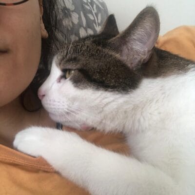 Yavru kedi ve sahibi yakınlaşması, sokak hayvanları ve evcil hayvan sevgisini yansıtan sevimli an, kedi bakımı ve hayvan sevgisi tematörü.