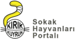 Sokak Hayvanları Portalı