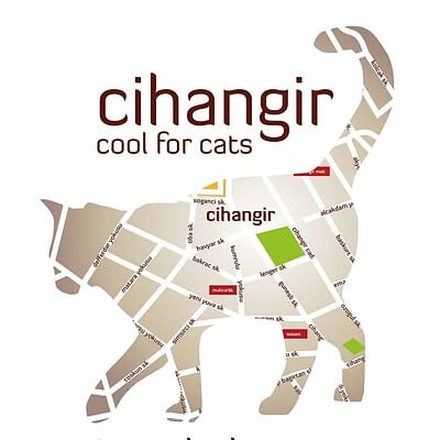 cihangir cool for cats