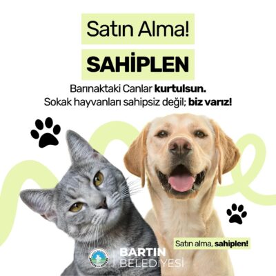 Satın alma ve sahiplenme çağrısı içeren, kedi ve köpek görselleriyle dolu, hayvan kurtarmayı ve sokak hayvanlarına destek olmayı teşvik eden Bartın Belediyesi afişi.