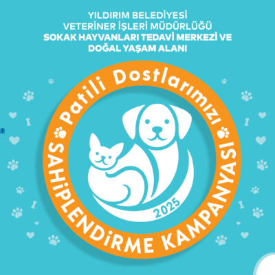 1. Yıldırım Patili Dostlarım Kampanyası afişi, köpek ve kedi dostlarının sağlığı için Yıldırım Belediyesi’nin veteriner tedavi ve bakım hizmetlerini vurgulayan, pet sahiplerine yönelik farkındalık yaratıcı görsel.