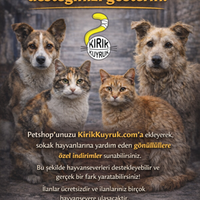 Köpek ve kedi dostlarımıza destek olun, Kirik Kuyruk ile sokak hayvanlarına yardım edin.