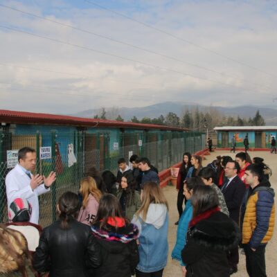 Köpeklerin sokakta kahramanı olalım, hayvan sevgisi ve farkındalık için düzenlenen etkinlikte bir grup insan, bir veteriner veya hayvan koruma uzmanı ile köpekleri eğitiyor ve onlara sevgi gösteriyor.