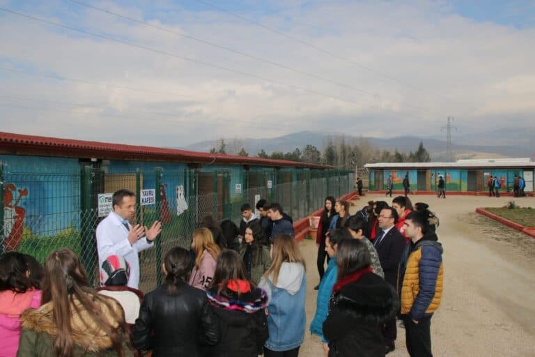 Köpeklerin sokakta kahramanı olalım, hayvan sevgisi ve farkındalık için düzenlenen etkinlikte bir grup insan, bir veteriner veya hayvan koruma uzmanı ile köpekleri eğitiyor ve onlara sevgi gösteriyor.