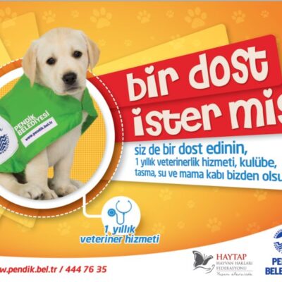 Be the hero of our paws on the street.