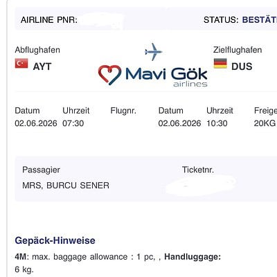 Be the hero of our paws on the street, showcasing a brave dog in an urban environment.