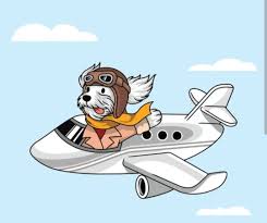 Köpek, pilot gözlüğü ve şapka takmış, uçakta seyahat ederken cesur ve neşeli görünüyor.