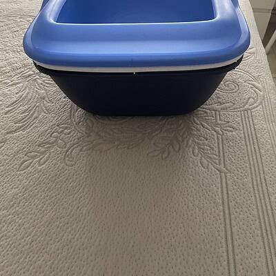 Beş parmaklı patileriyle sokakta kahraman ol!.