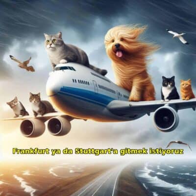 Kediler ve köpekler uçak üzerinde, gökyüzünde özgürce seyahat ediyor. Bu eğlenceli ve sevimli görüntü, hayvanların sevgiyle ve macera tutkusu ile dolu dünyasını yansıtıyor.