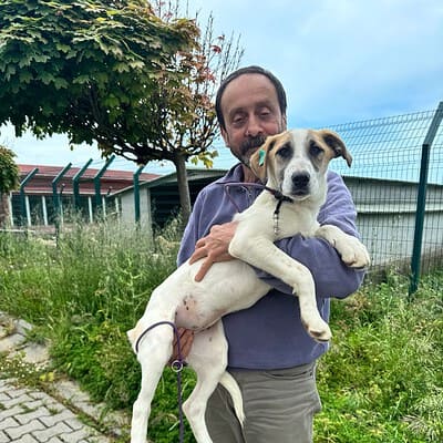 Köpek ve sahibi doğa içinde, yeşil alan ve ağaçlar arasında, mutlu ve sağlıklı bir şekilde poz veriyorlar.