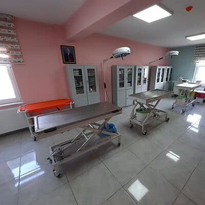 Veteriner klinikte ameliyathane odası, cerrahi masaları ve tıbbi ekipmanlar ile donatılmış, hijyenik ve modern ortam.