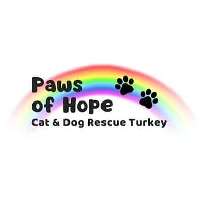 Paws of Hope Rescue Turkey