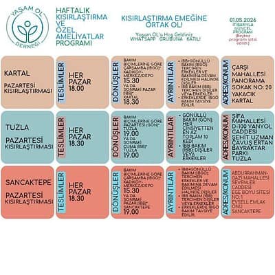 Beş hafta boyunca sokak köpekleriyle ilgili kısırlaştırma ve bakım programı.
