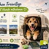 Eilt – Istanbul <-> Frankfurt, Stuttgart | Flugpate gesucht