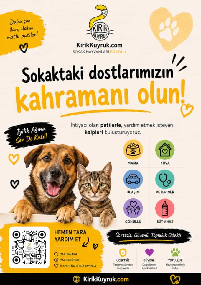 Haberleri yaymamıza yardım edin!