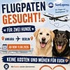 Flugpaten gesucht! Ankara -> Berlin