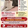 Üsküdar’da 7 Ağustos’tan beri kayıp kedim