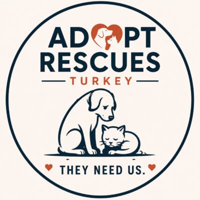 Adopt Rescues Turkey