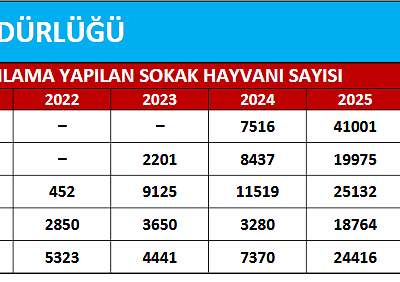 Be the hero of our paws on the street, sokak hayvanları tedavi merkezi, veteriner, hayvan bakımı, sokak hayvanları, hayvan sağlığı, yardım.