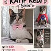 Kurtköy kayıp kedi